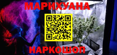 Альфа ПВП Ачхой-Мартан