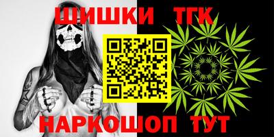 Альфа ПВП Ачхой-Мартан