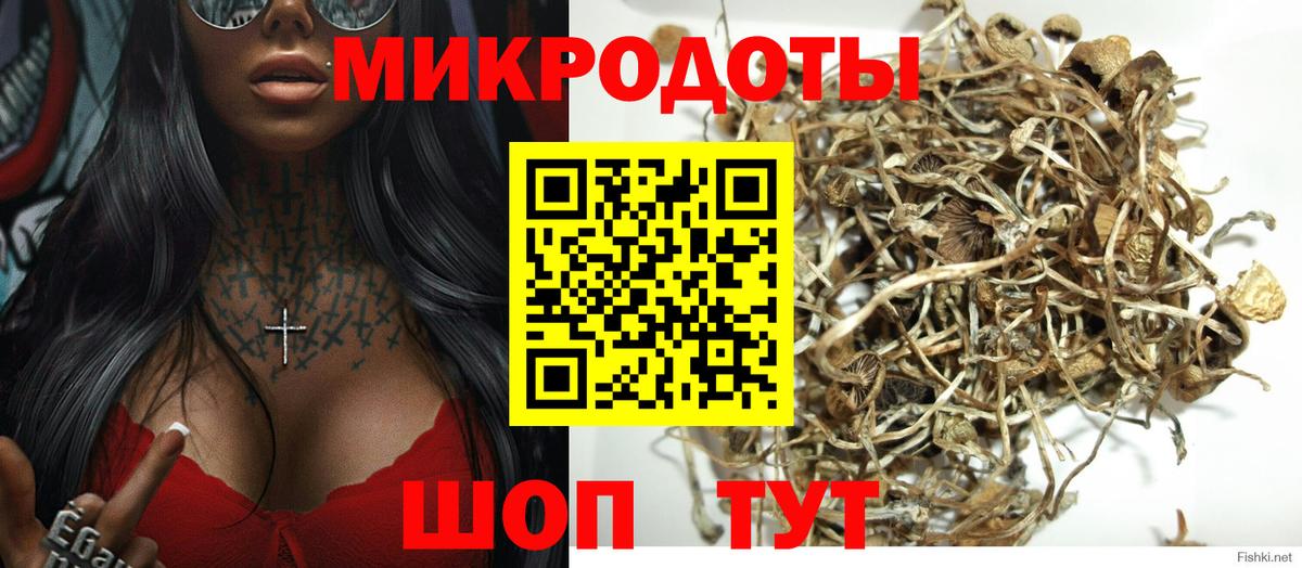 Псилоцибиновые грибы Cubensis Сатка